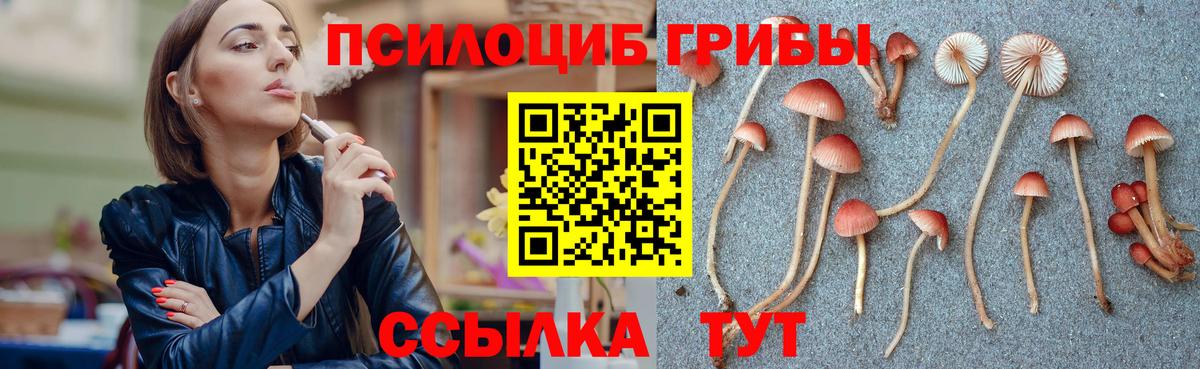 Новосибирск  Галлюциногенные грибы Psilocybine cubensis  хочу наркоту  Вход с VPN 