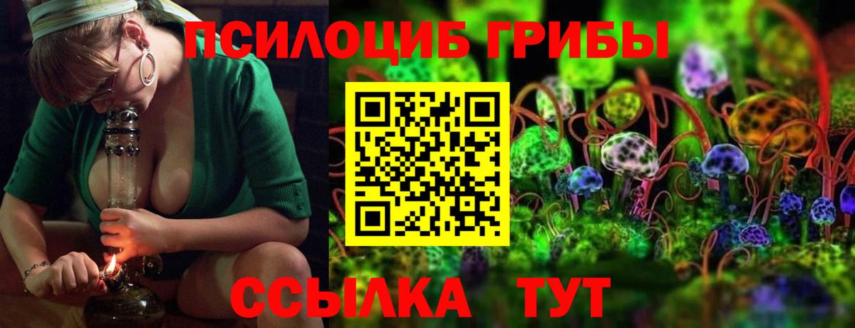 Галлюциногенные грибы Cubensis Новосибирск