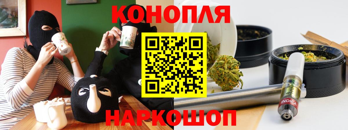 МАРИХУАНА семена  Вход с VPN  Каннабис OG Kush  Каннабис ГИДРОПОН  Новосибирск  Каннабис семена 